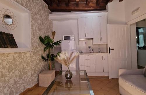 Albaicin Apartment | ADANAR-Apartamentos Muralla Zirí