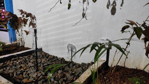 Mysore Cabin | ADH Amilia Gardens