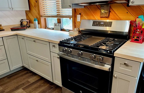 Wevertown Cabin | ADK Guest House Indoor pool/spa 4mi to Gore