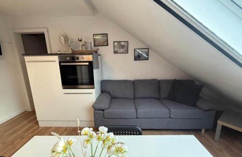 Waldshut-Tiengen House | Adlerhorst4