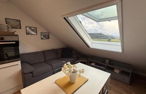 Waldshut-Tiengen House | Adlerhorst4