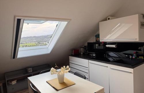 Waldshut-Tiengen House | Adlerhorst4