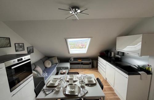 Waldshut-Tiengen House | Adlerhorst4