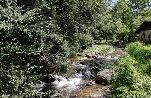 Gatlinburg House | Adorable cottage within walking distance to downtown Gatlinburg!
