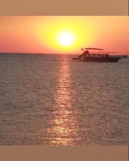 Adrasan Hotel | Adrasan Maviay Hotel