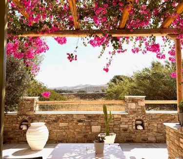 Antiparos Hotel | Aegeo Inn