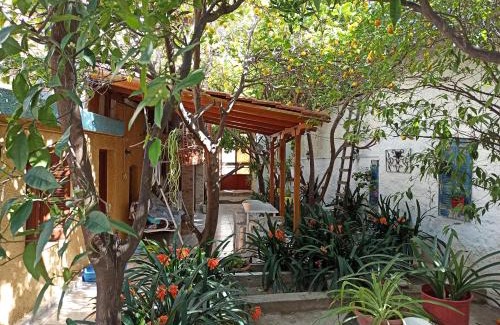 Aegina Apartment | Aegina Town Traditional Lemon House