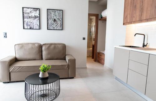 Psalidi Apartment | Aelia Prime Experience 1