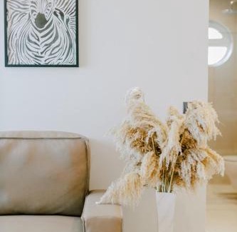 Psalidi Apartment | Aelia Prime Experience 1