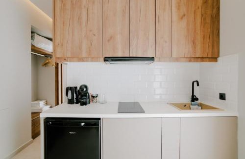Psalidi Apartment | Aelia Prime Experience 3