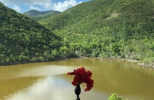Estate Mandal Cottage | Affordable Coral Bay Sanctuary. Quiet, walk to park beaches, sea & pond views.