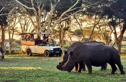 Hluhluwe Cabin | AfriCamps at Bonamanzi Game Reserve
