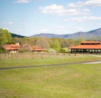Afton Cabin | Afton Mountain Vineyard