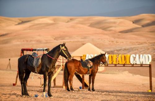 Agafay Other | Agafay Pearl Camp Marrakech
