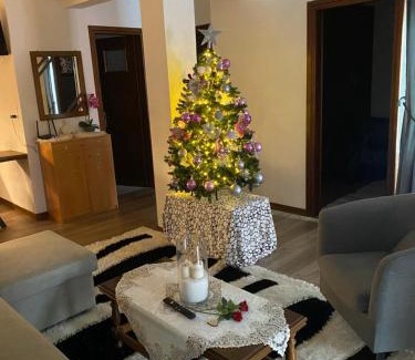 Metsovo Apartment | AGAPI’S HOUSE