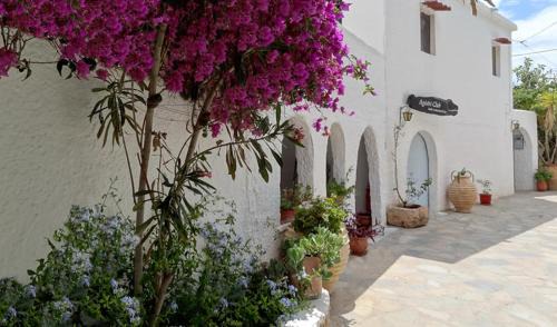 Skliri Hotel | Agistri Club Hotel
