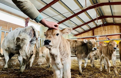 Accumoli Other | Agricampeggio Alta Montagna Bio