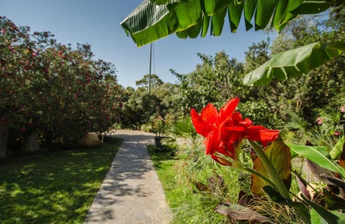 Teulada Apartment | Agricosta del Sud Studio6 - 4p