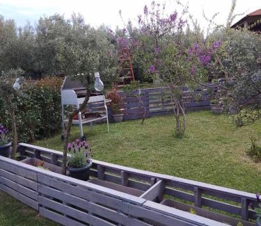 Ormilia Apartment | Agrikia tis Vasilikis