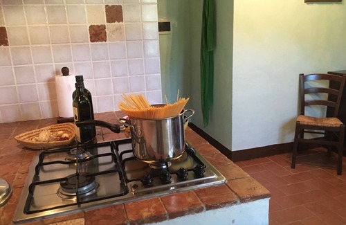 Montecatini Val di Cecina House | Agriturismo Gello vigna