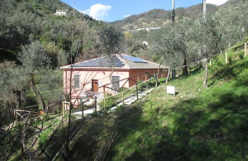 Levanto House | Agriturismo A' Taversa