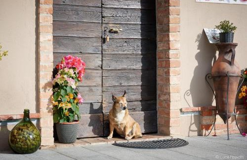 Barolo House | Agriturismo Cascina Sciulun