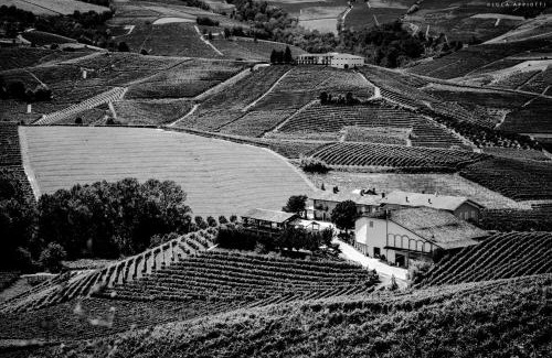 Barolo House | Agriturismo Cascina Sciulun