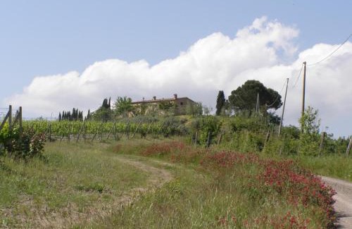Montalcino House | Agriturismo Collesassi