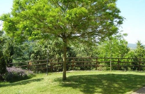 Montalcino House | Agriturismo Collesassi