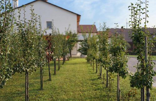 Onara House | Agriturismo Corte Foscara