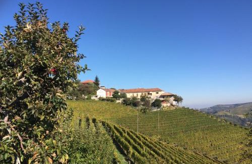 Treiso House | Agriturismo Finestre di Langa