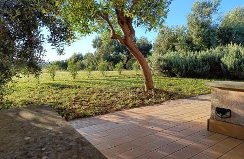 Lake Bracciano House | Agriturismo Fontelupo