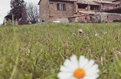 Montalcino House | Agriturismo Il Cocco