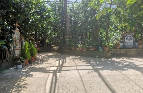 Marina di Puolo House | Agriturismo Il Giardino di Vigliano