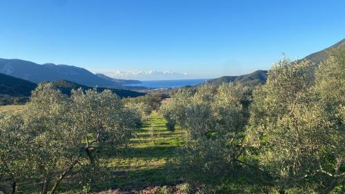Fluminimaggiore House | Agriturismo Il Ginepro