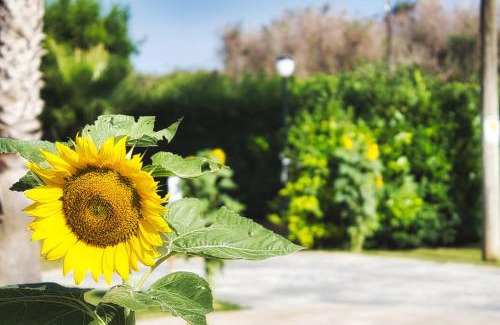 Borgagne Bed & Breakfast | Agriturismo Karrares