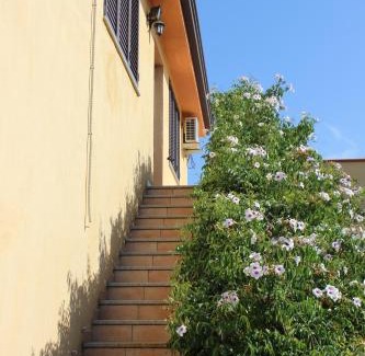Girasole House | Agriturismo L' Agrumeto