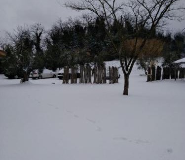 Crespina House | Agriturismo L'isola