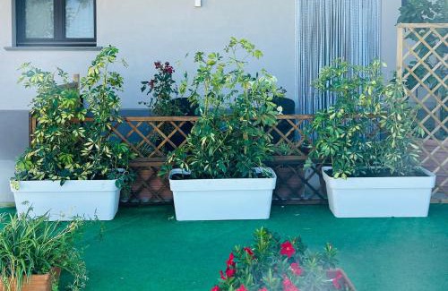 Sant'Agnello Apartment | Agriturismo Nonno Antonino