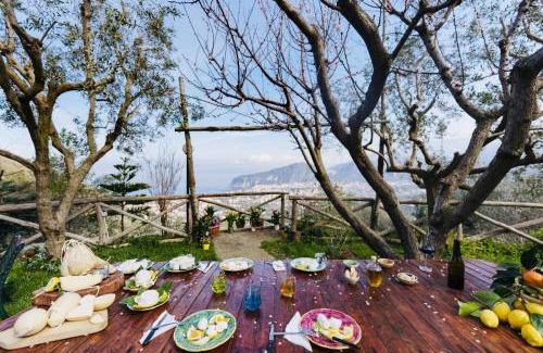 Sant'Agnello Apartment | Agriturismo Nonno Antonino