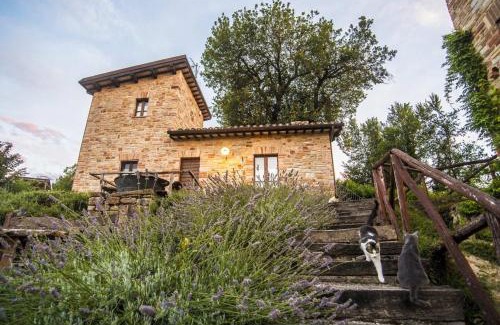 Force House | Agriturismo Ramusè