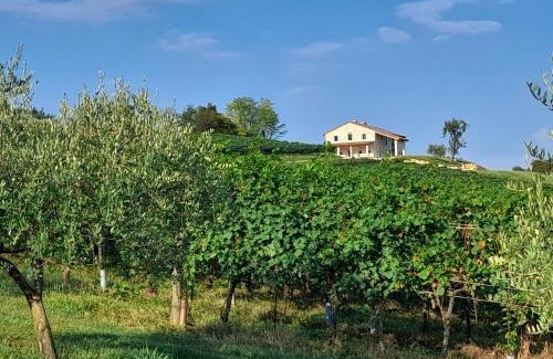 Cavaso del Tomba Apartment | Agriturismo Riva Beata