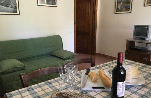 Montecatini Val di Cecina Apartment | Agriturismo San Maurizio Anna by ToscanaTour
