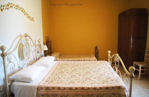 Orciatico House | Agriturismo Signorini