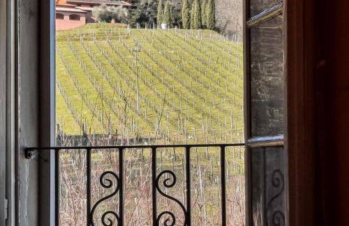 Lucca Apartment | Agriturismo Tenuta Adamo