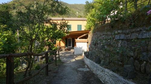Levanto House | Agriturismo U muinettu