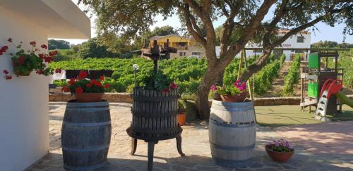 Monti House | Agriturismo Vermentino