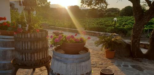 Monti House | Agriturismo Vermentino