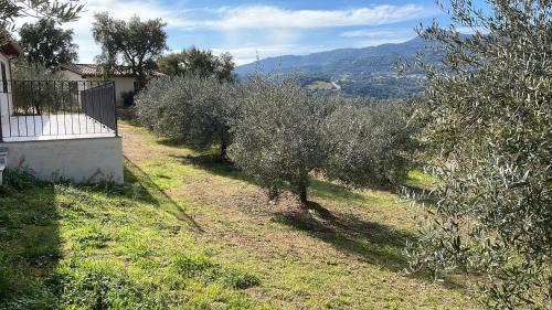 Loceri Apartment | AGRITURISMO VIGNA DE' LUCERI