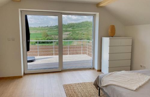 Central Serbia Apartment | Agro Lux Apartment - Milenović